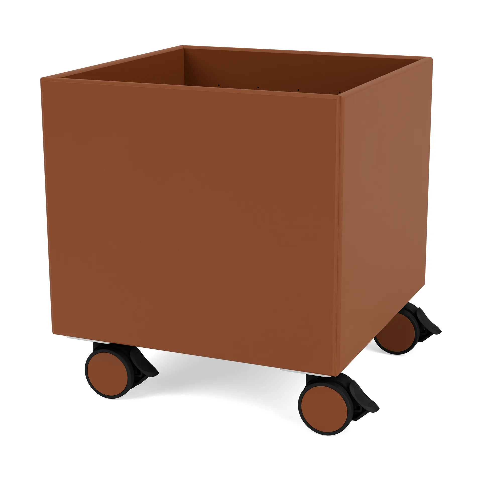 Colour Box I – S6161, 榛果 Montana