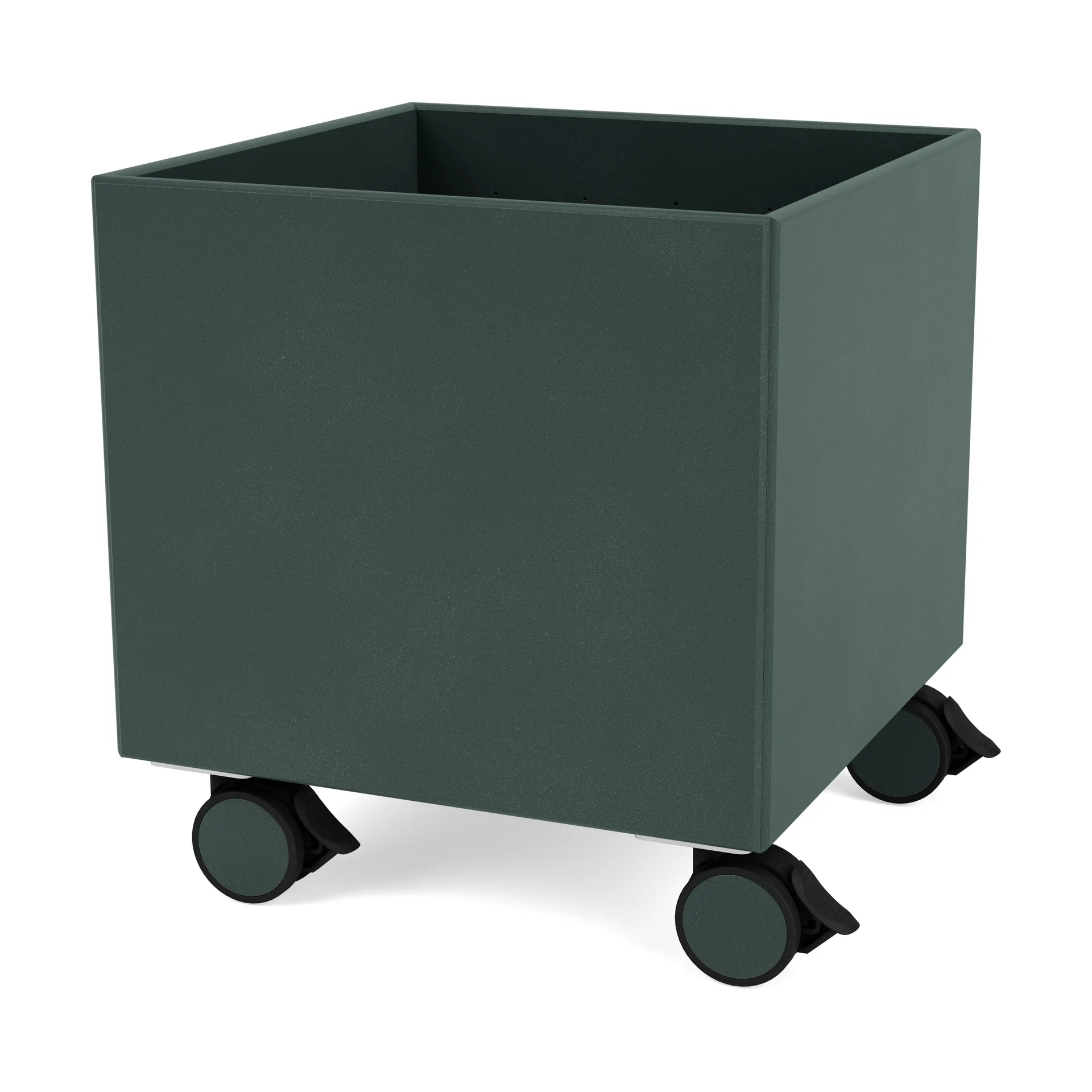 Colour Box I – S6161, 墨玉色 Montana