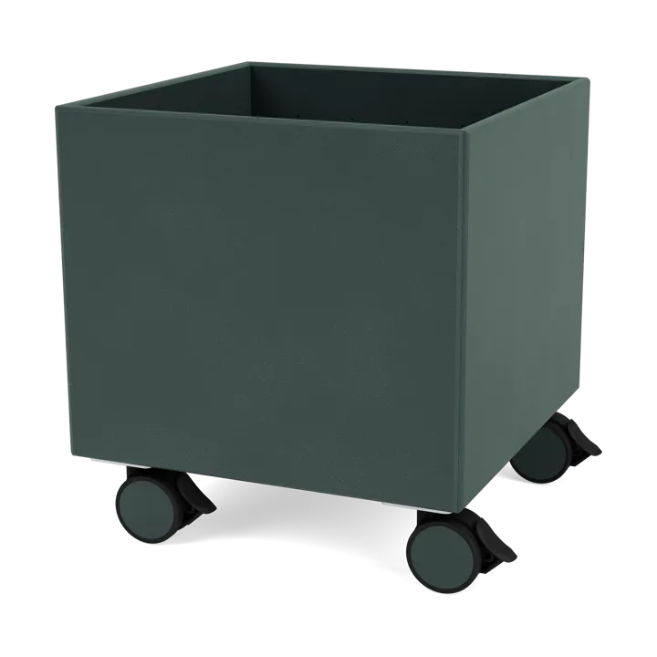 Colour Box I – S6161 - 墨玉色 - Montana