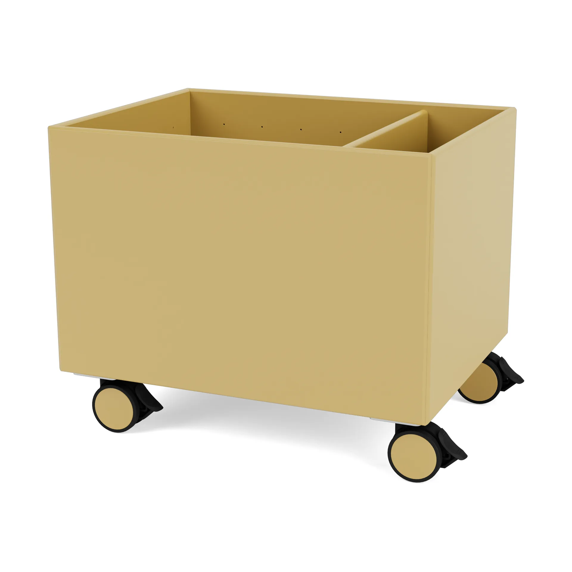 Colour Box II, Cumin Montana