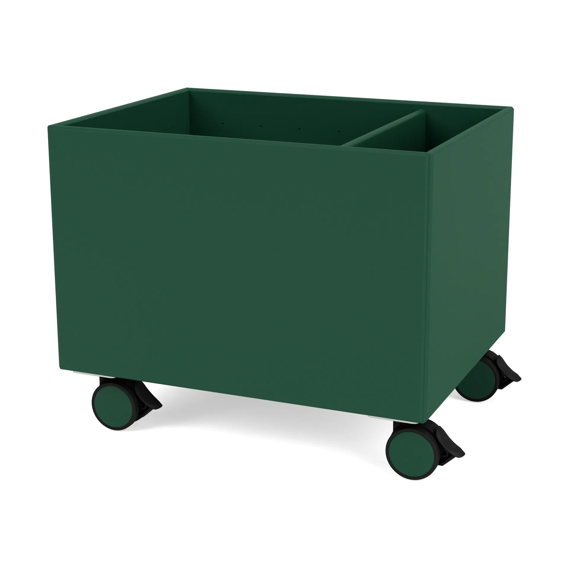 Colour Box II, Pine Montana