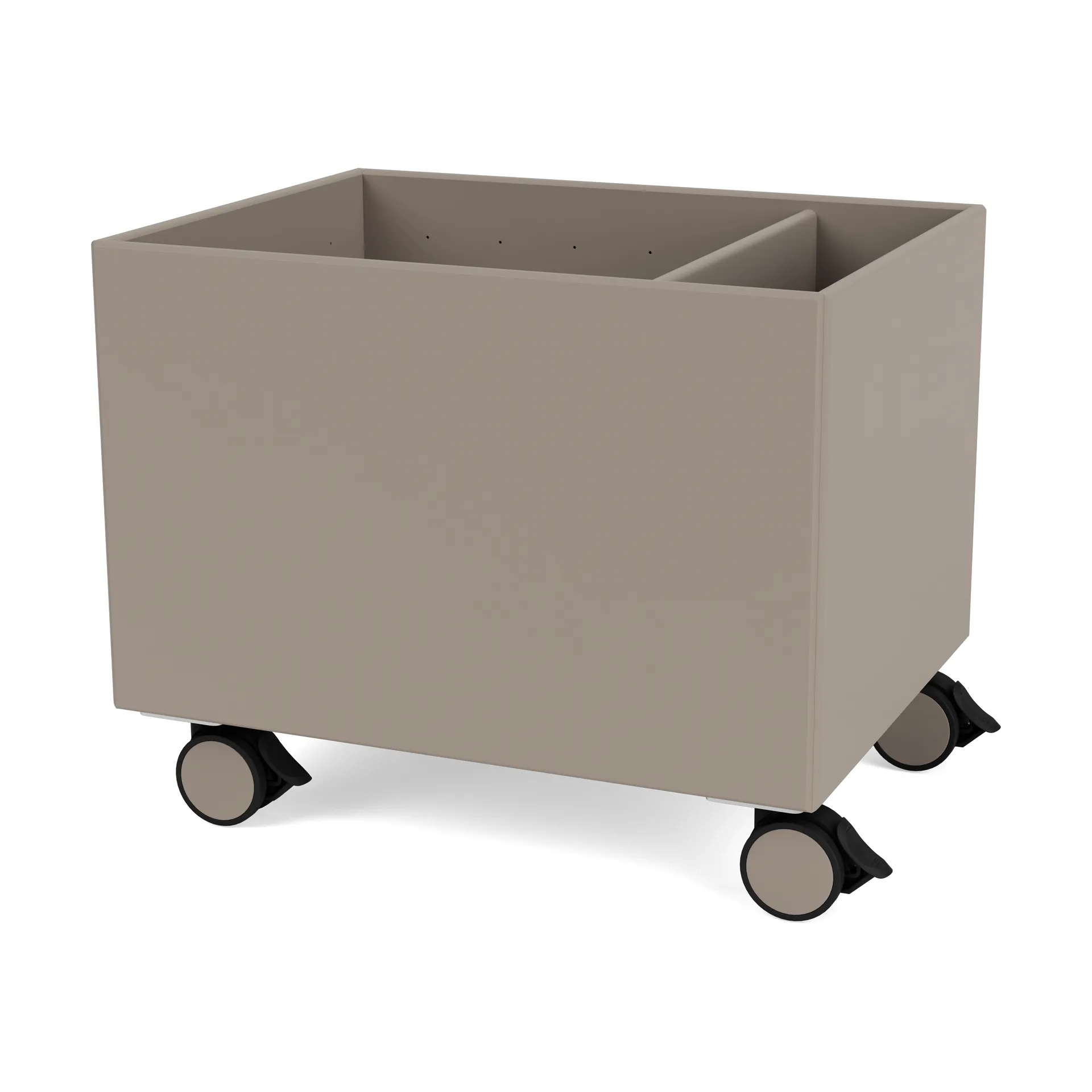 Colour Box II, 松露 Montana