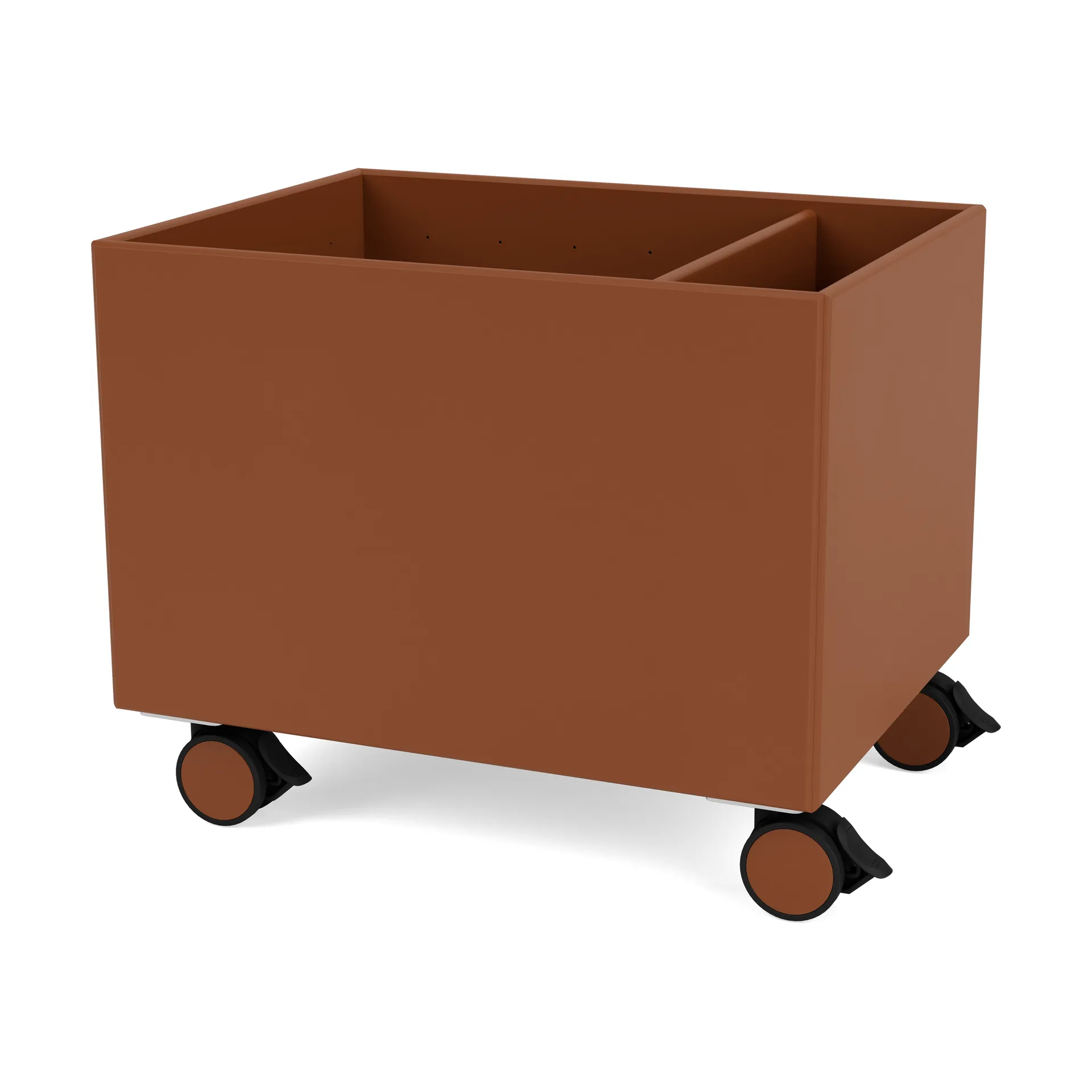 Colour Box II, 榛果 Montana