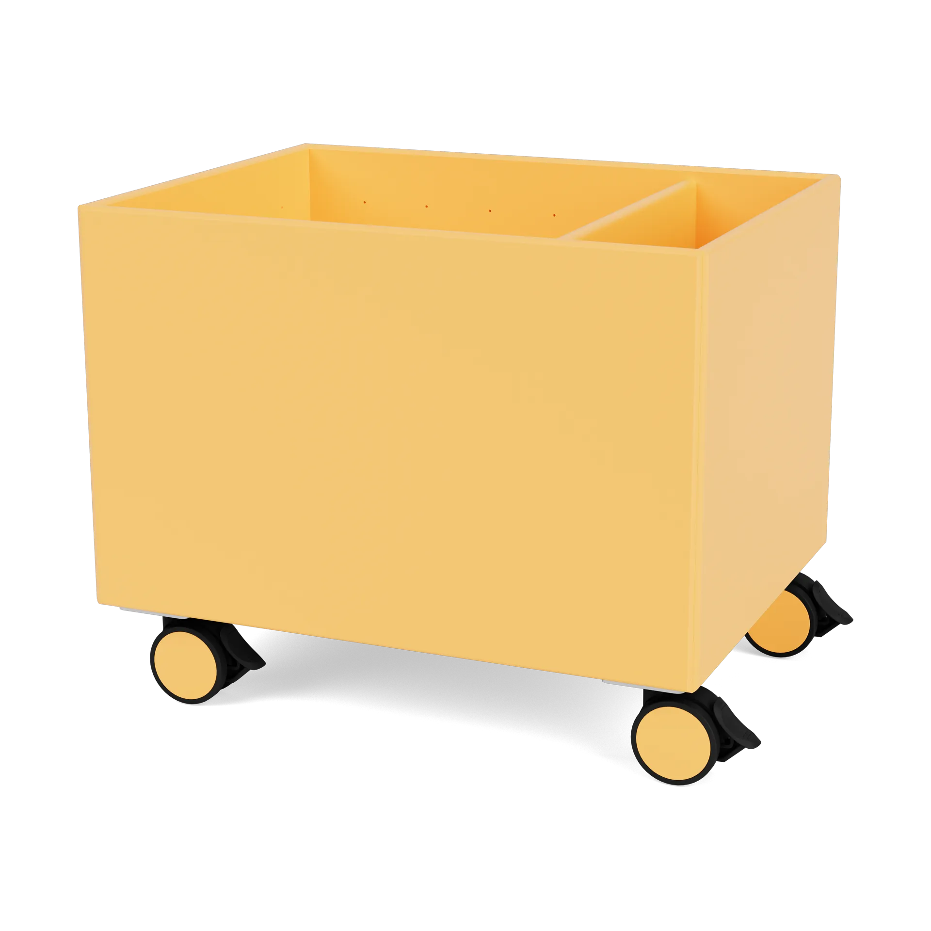Colour Box II, 金合欢色 Montana