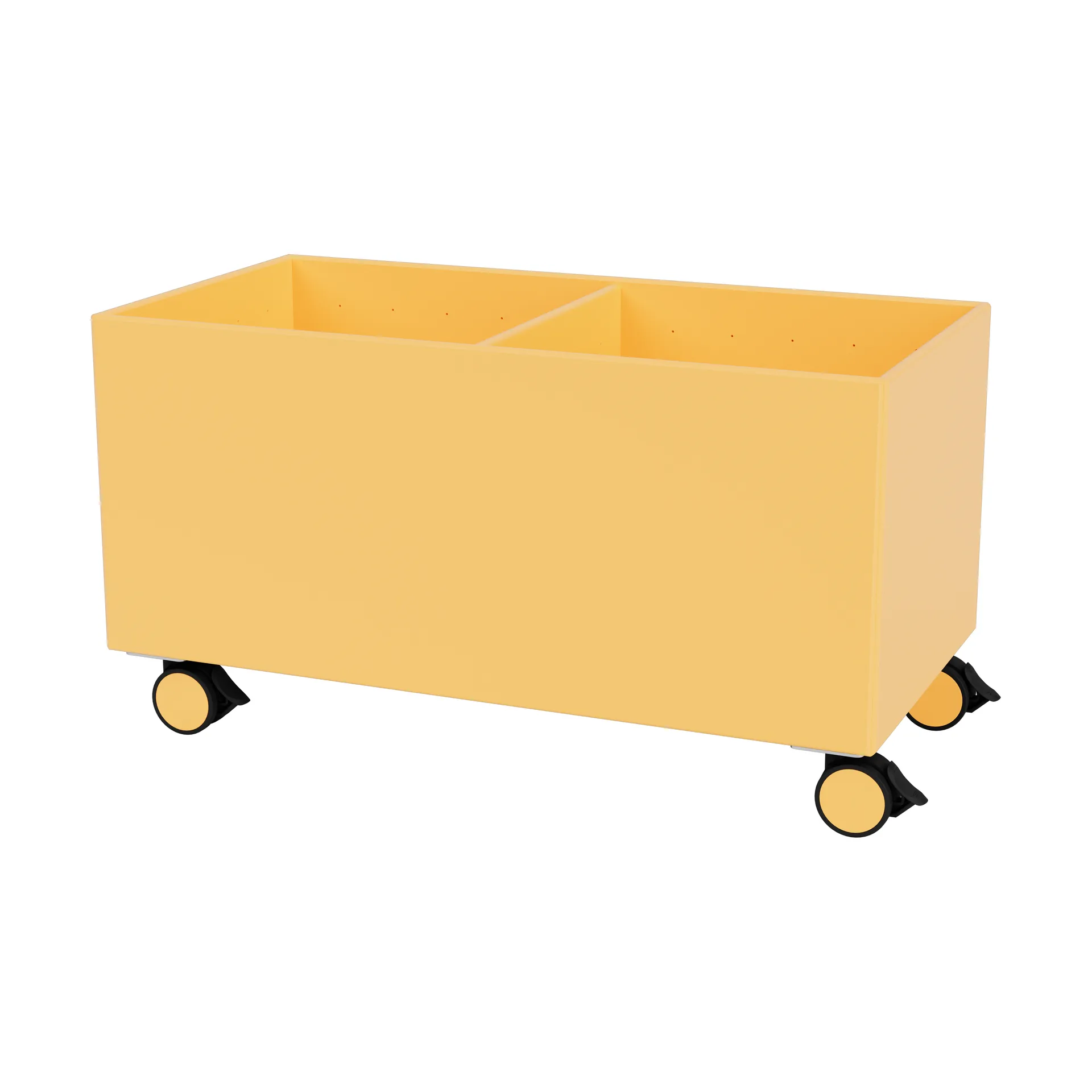 Colour Box III, Acacia Montana