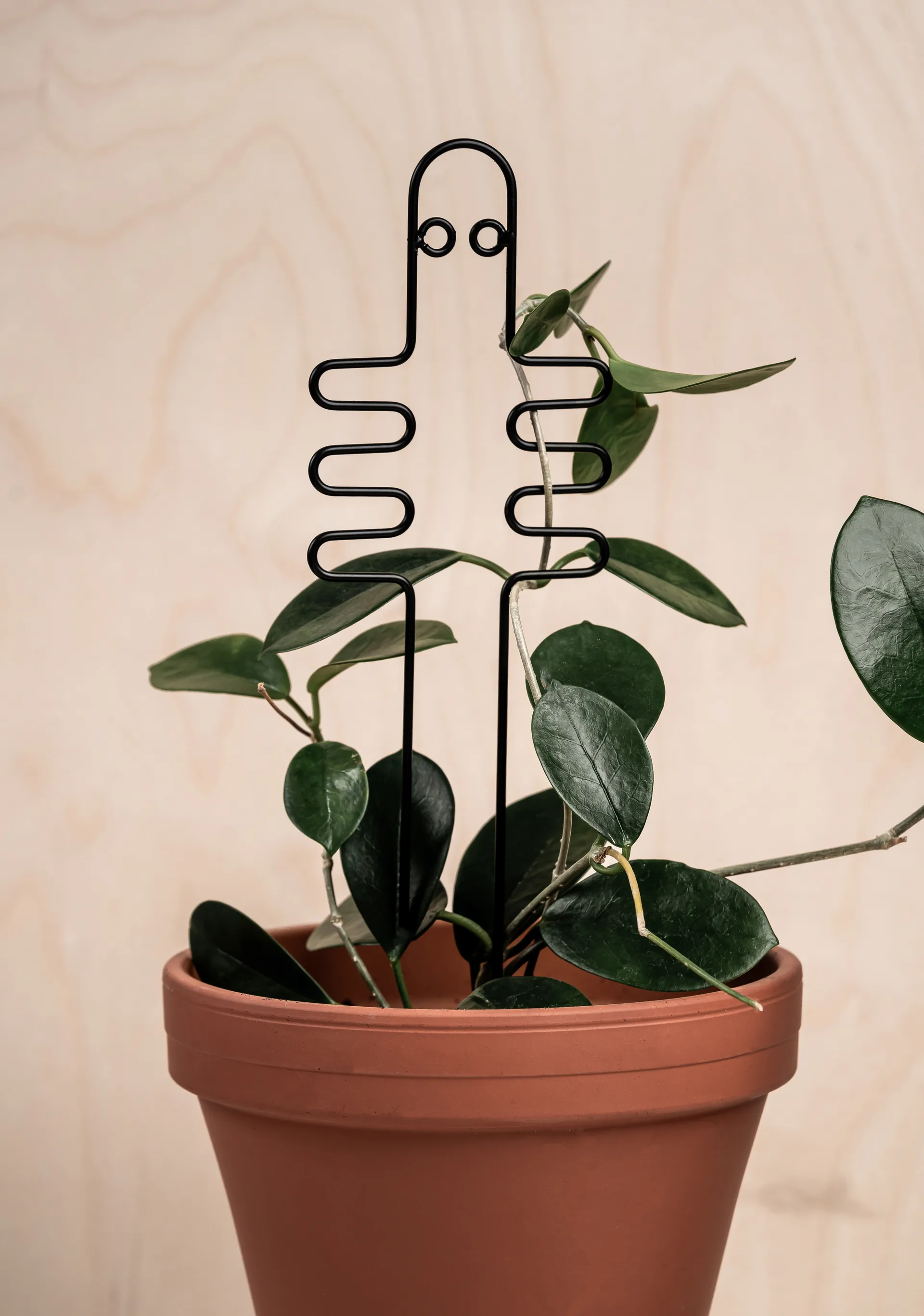 哈蒂法特纳 植物支架, 黑色 Muurla