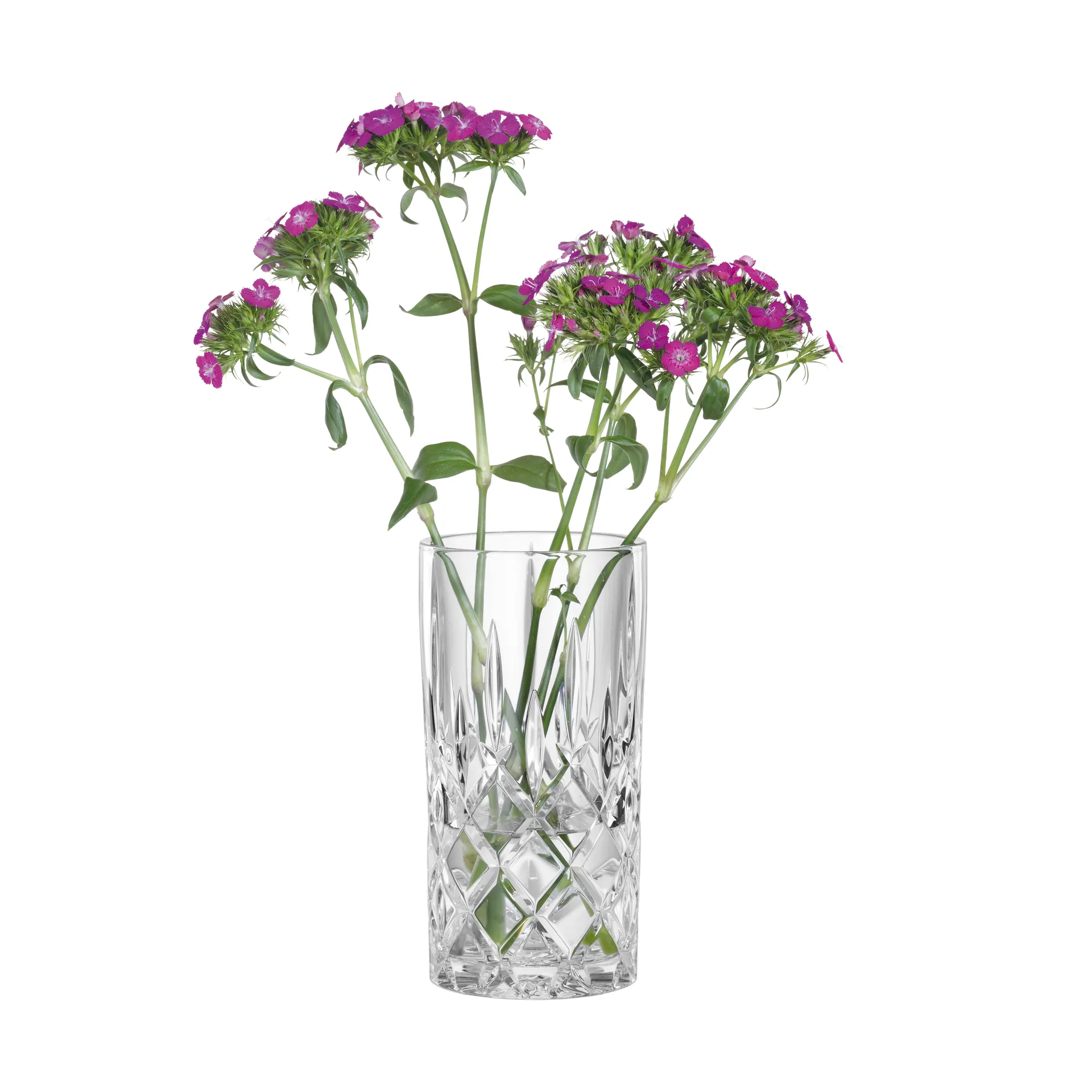 Noblesse 贵族花瓶, 水晶玻璃_23cm Nachtmann