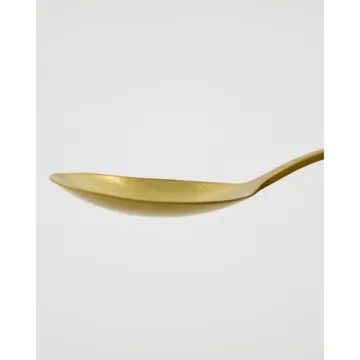 日常分餐勺 2件装 - 金色饰面 - Nicolas Vahé