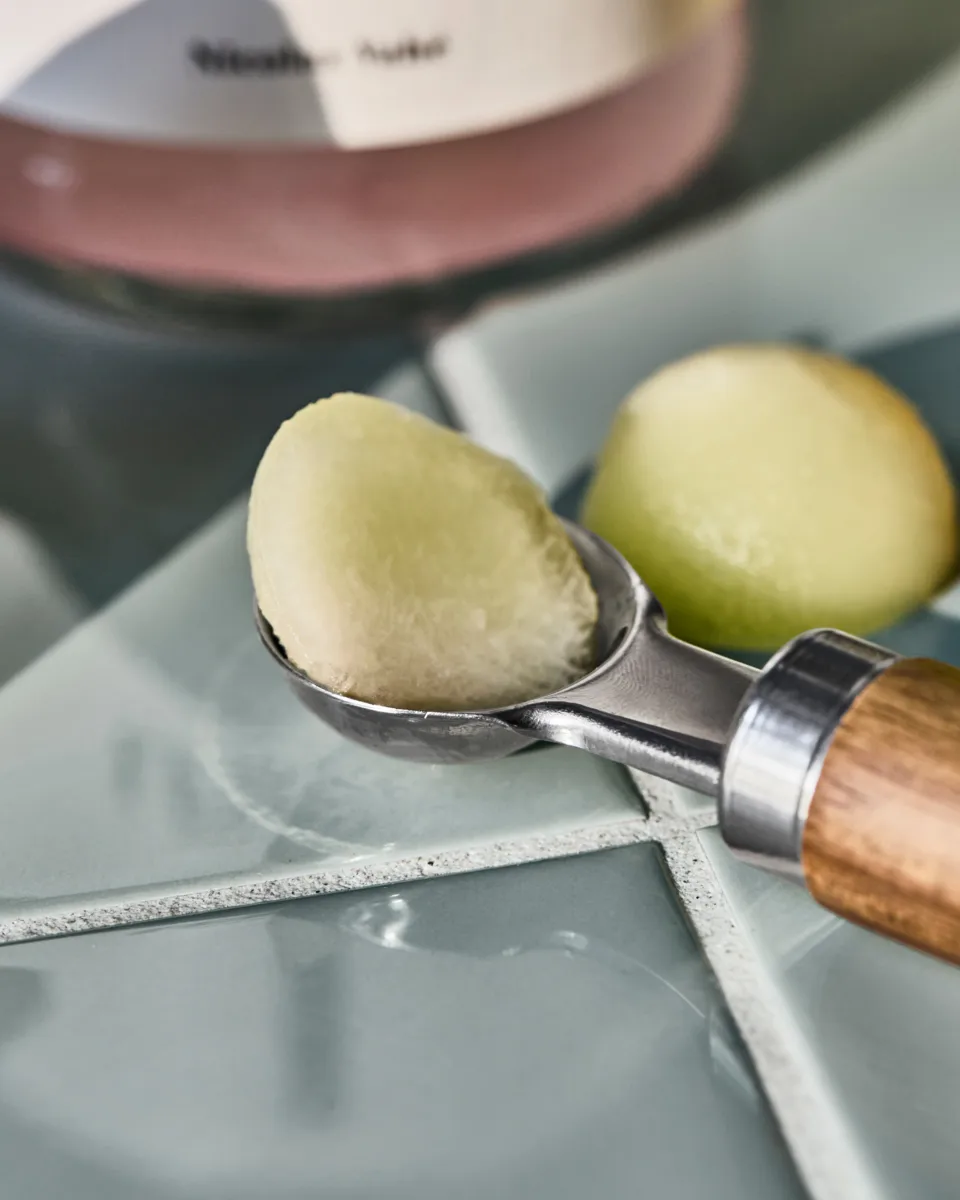 Melon scoop, Nature Nicolas Vahé