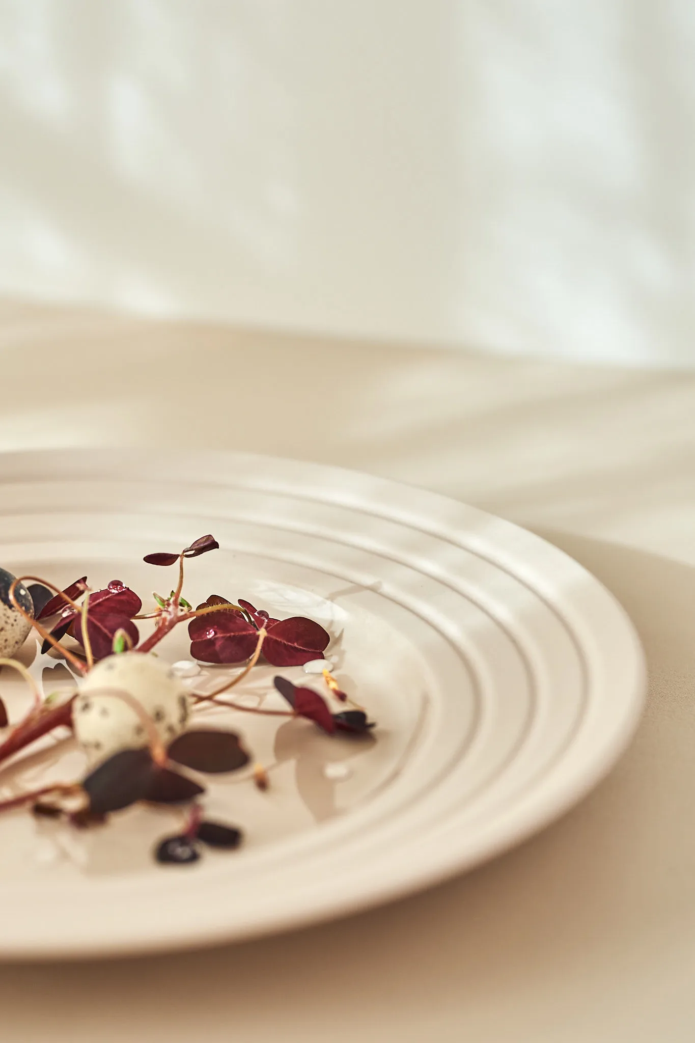 Lines 平盘/西餐盘 Ø27 cm 六件套装, 米色 NJRD