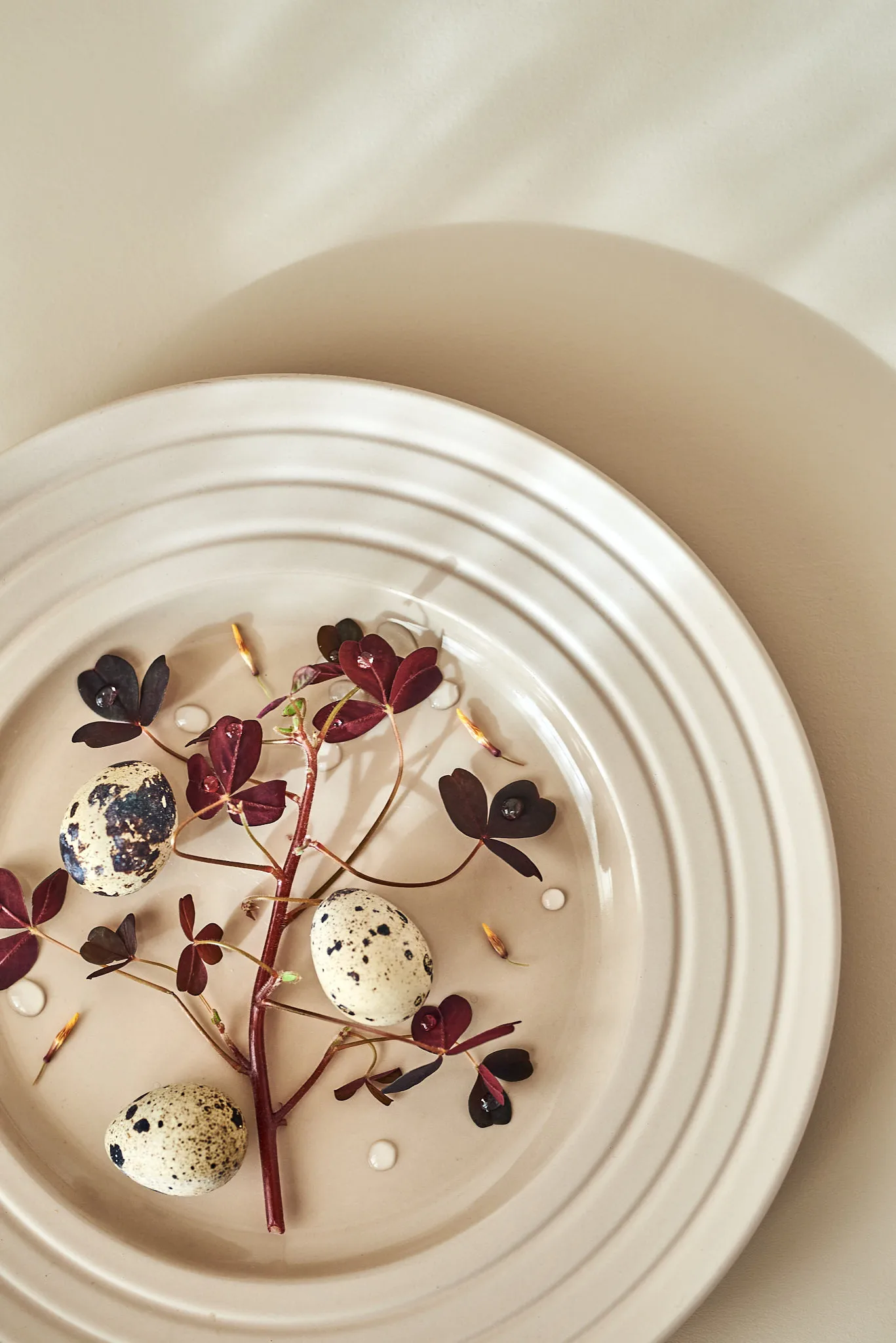 Lines 平盘/西餐盘 Ø27 cm 六件套装, 米色 NJRD