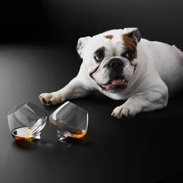 干邑玻璃杯250ml - 两件套装 - Normann Copenhagen