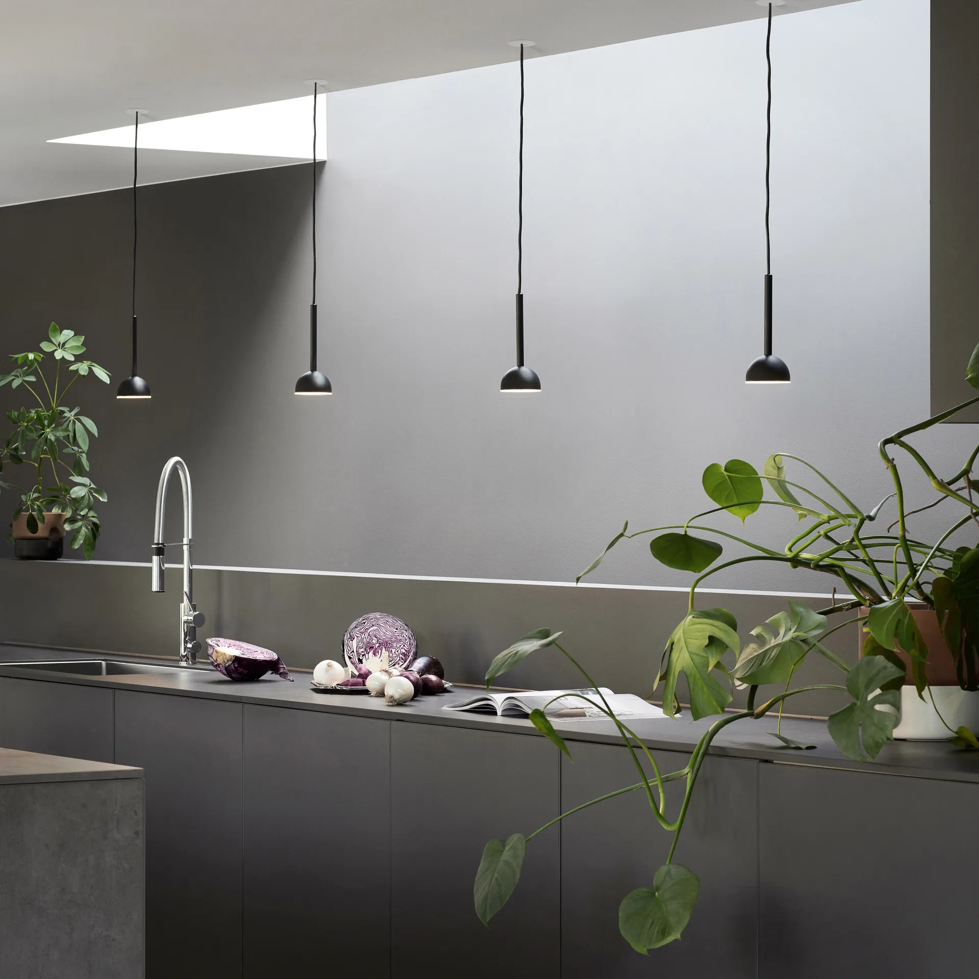 Blush ceiling 灯, 黑色 Northern