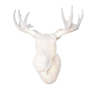 Moo 壁灯 - 白色 - Northern