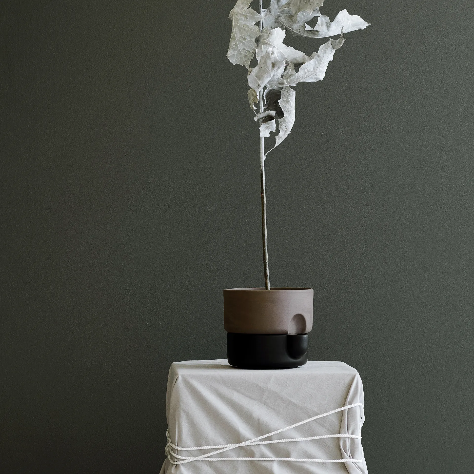 Oasis self-watering 花盆  small, 黑色 Northern