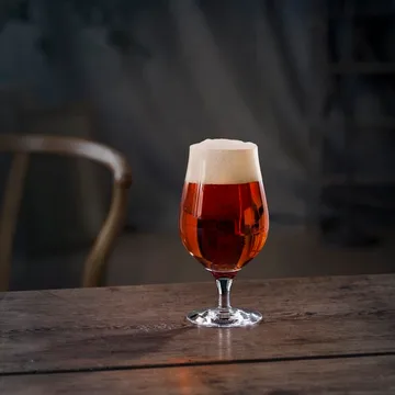 啤酒品鉴杯4件套 - 4件装 - Orrefors