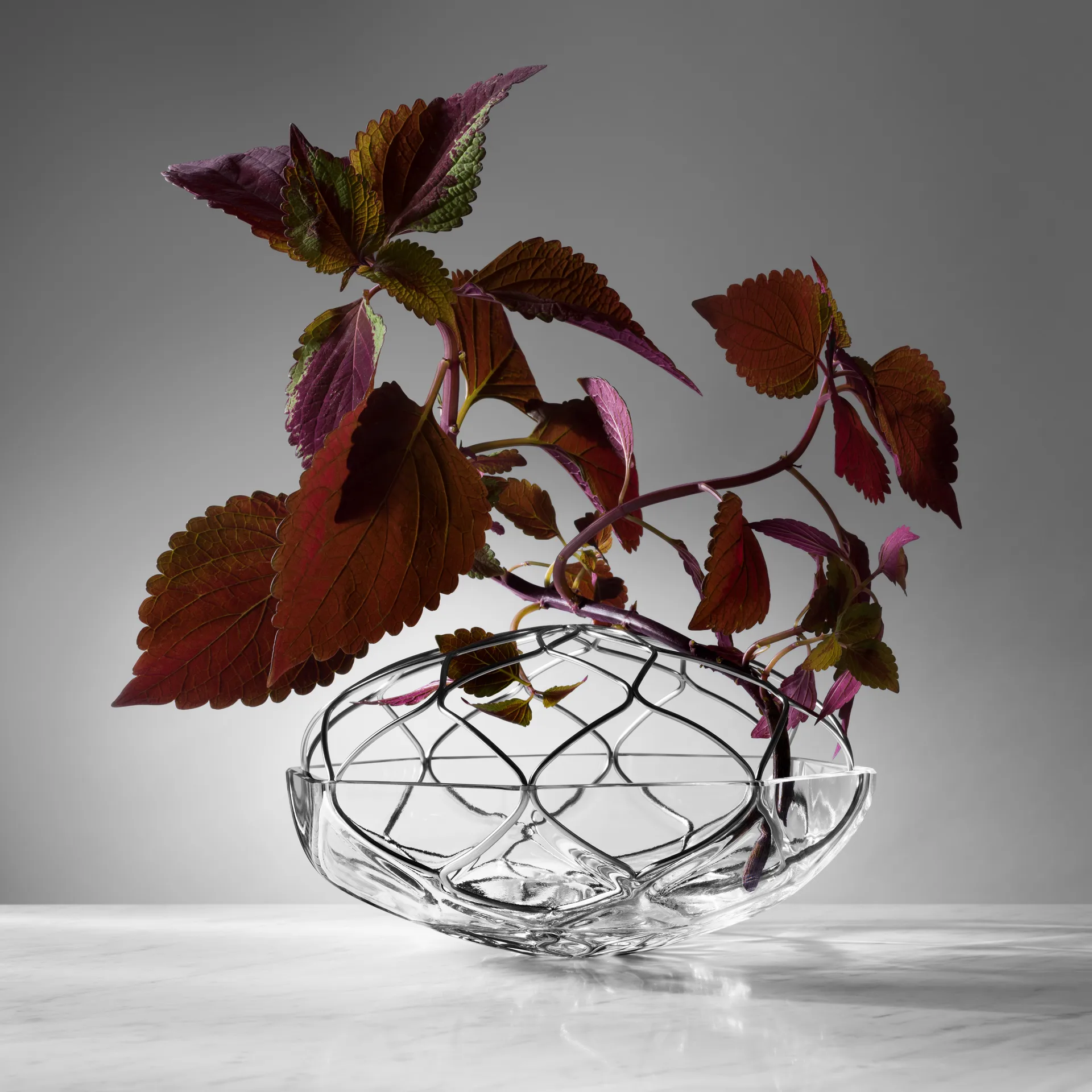 Bloom 花瓶 Ø23cm, 直径23cm Orrefors