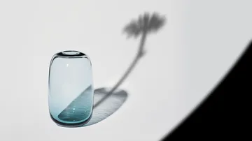 Midsummer 迷你花瓶 牛眼菊 - 93mm - Orrefors