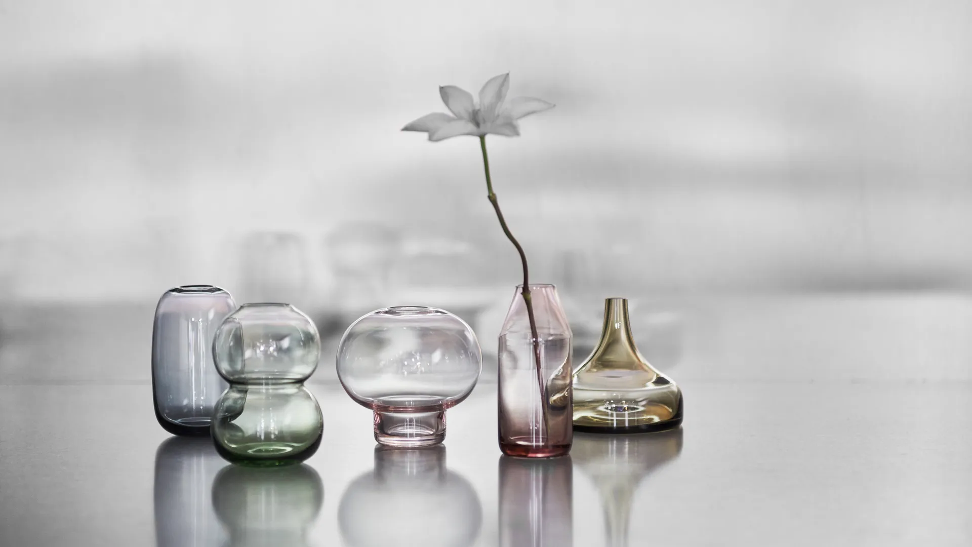 Midsummer 迷你花瓶 牛眼菊, 93mm Orrefors