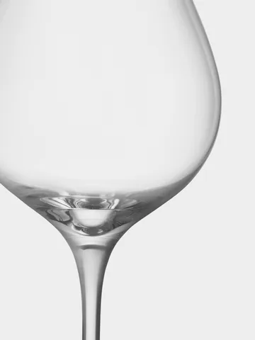 More Pinot 酒杯 600ml 4包装 - 透明 - Orrefors