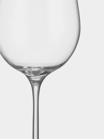 Orrefors x Björn Frantzén香槟杯 2件装 - 280ml - Orrefors