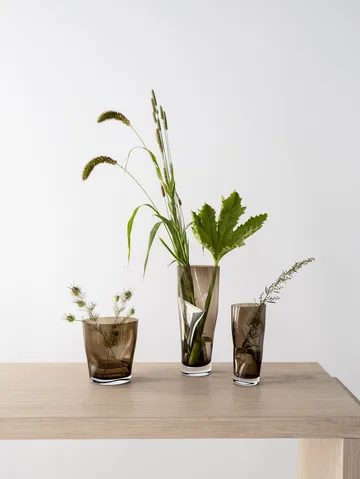 Squeeze 郁金香花瓶 18cm - 棕色 - Orrefors