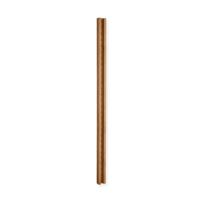 Artefakt Shelf Spine 导轨 - 100cm - Paper Collective