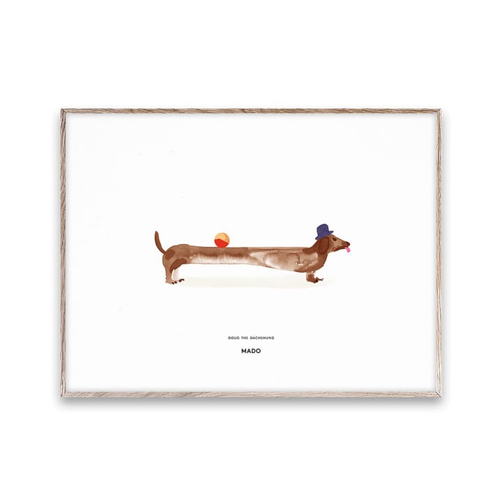 Doug the Dachshund 海报, 30x40 cm Paper Collective
