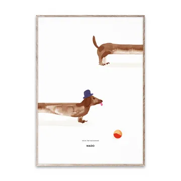 Doug the Dachshund 海报 - 50x70cm - Paper Collective