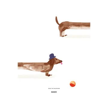 Doug the Dachshund 海报 - 50x70cm - Paper Collective