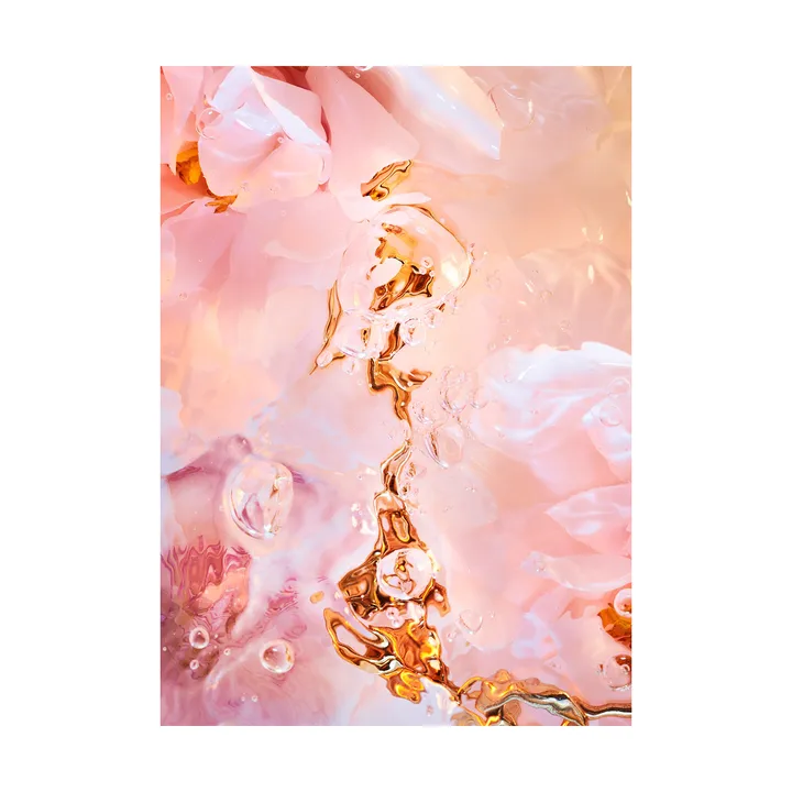 Flora Aquatica 02 海报 - 50x70cm - Paper Collective