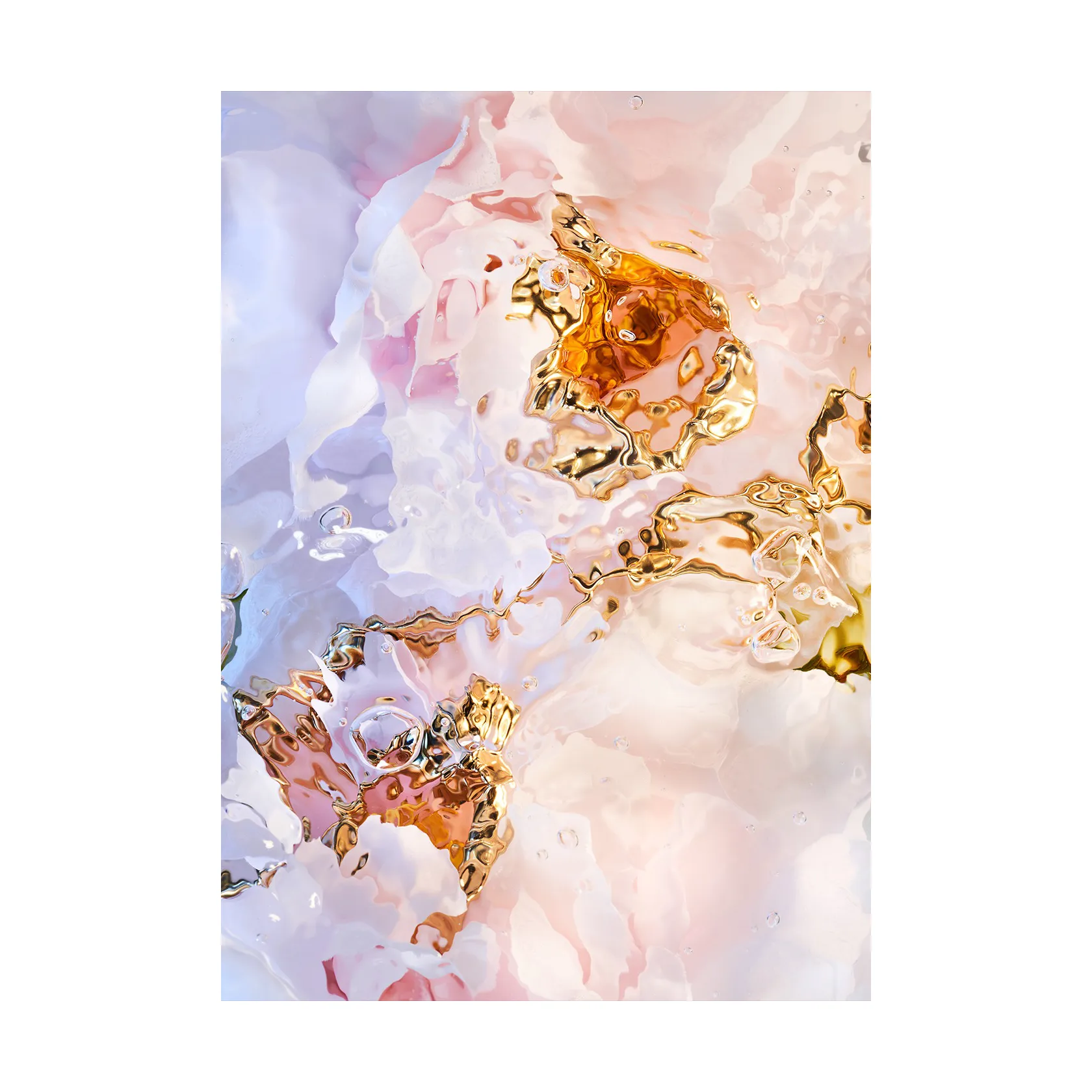 Flora Aquatica 03 海报, 50x70 cm Paper Collective