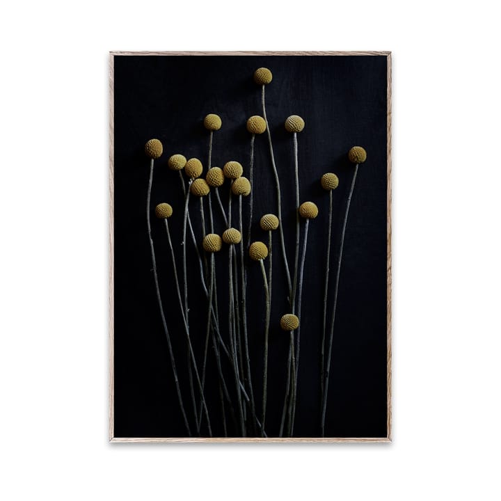 Sto Life 01 Yellow Drumsticks 海报 - 30x40 cm - Paper Collective