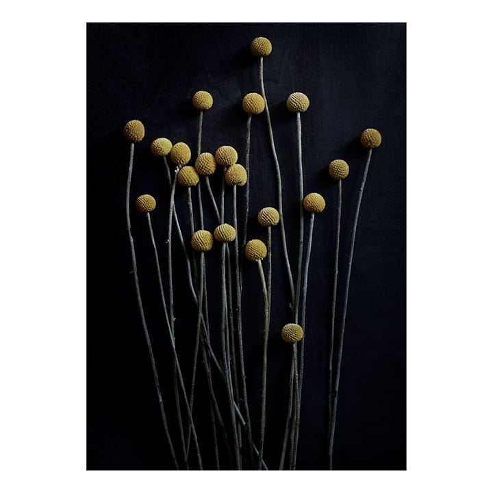 Sto Life 01 Yellow Drumsticks 海报 - 30x40 cm - Paper Collective