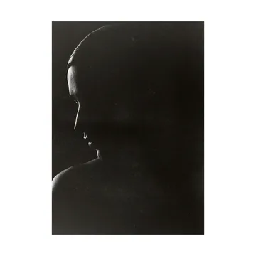 The Silhouette 海报 - 50x70cm - Paper Collective