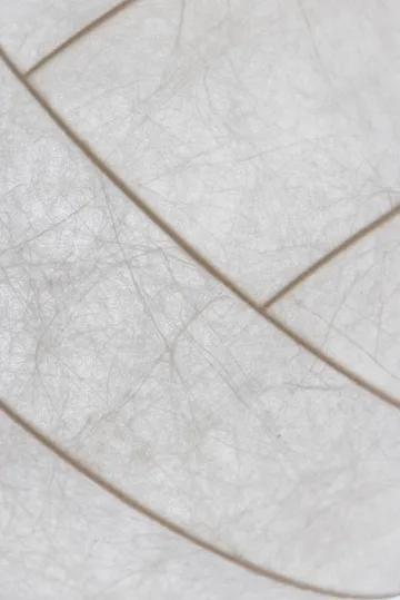 Turner 80吊灯 - 白色 - Pholc