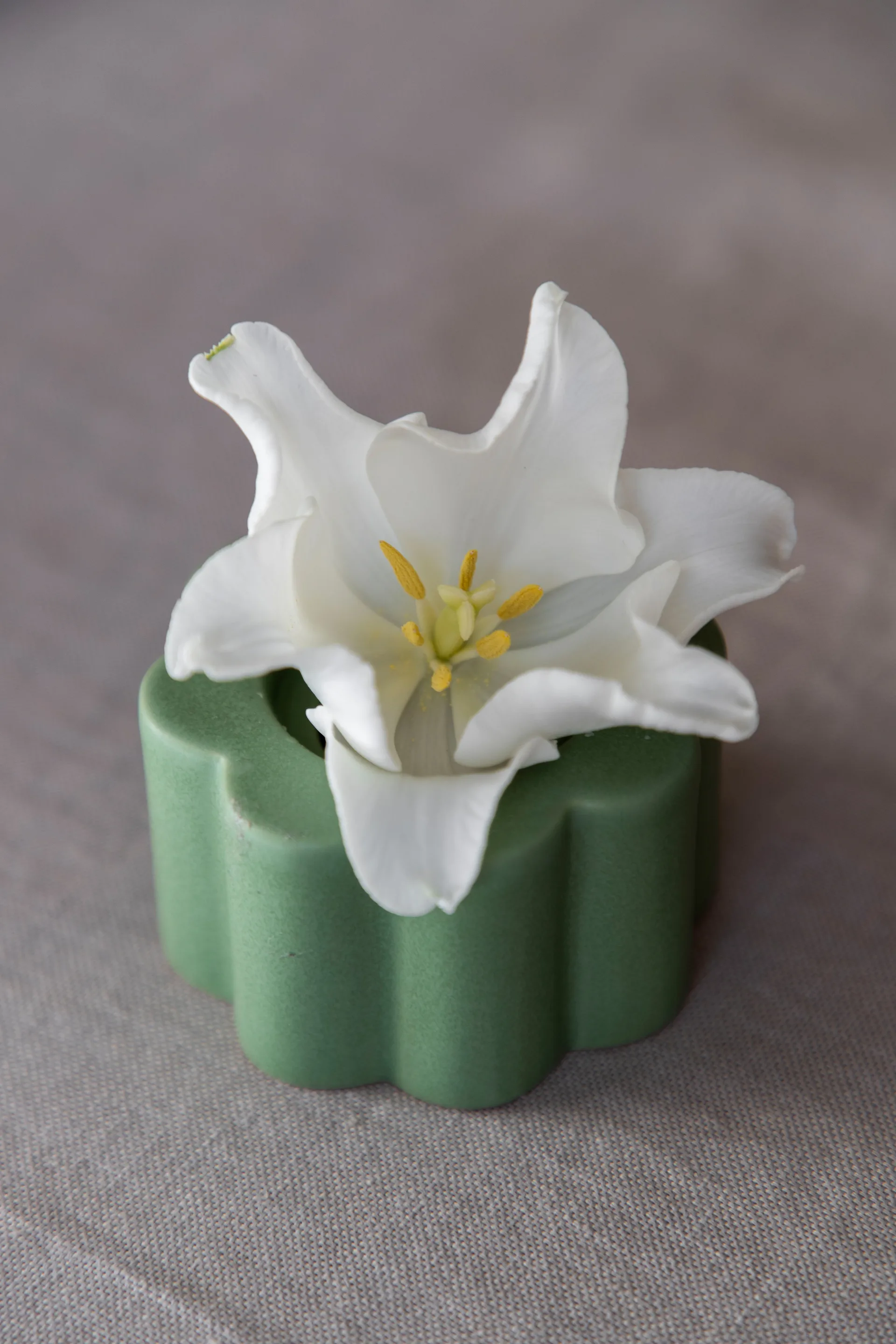 Birgit 花瓶/烛台5cm, 橄榄色 PotteryJo
