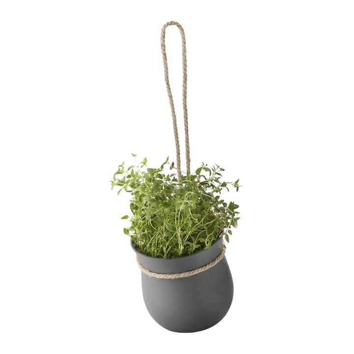 Grow-It herb pot, 灰色 RIG-TIG