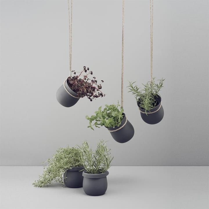 Grow-It herb pot, 灰色 RIG-TIG