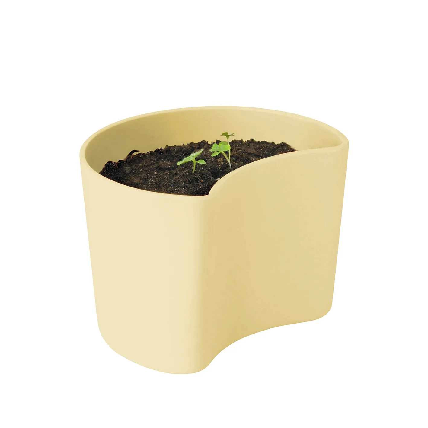 YOUR TREE pot with seeds, 黄色 (Beech) RIG-TIG