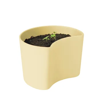 YOUR TREE pot with seeds - 黄色 (Beech) - RIG-TIG