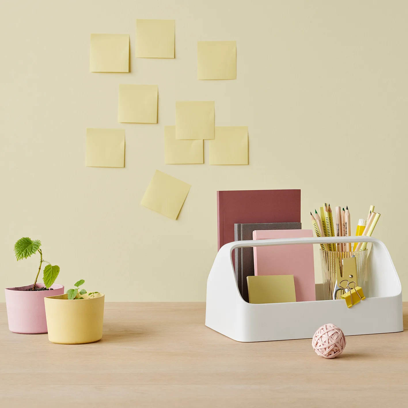 YOUR TREE pot with seeds, 黄色 (Beech) RIG-TIG