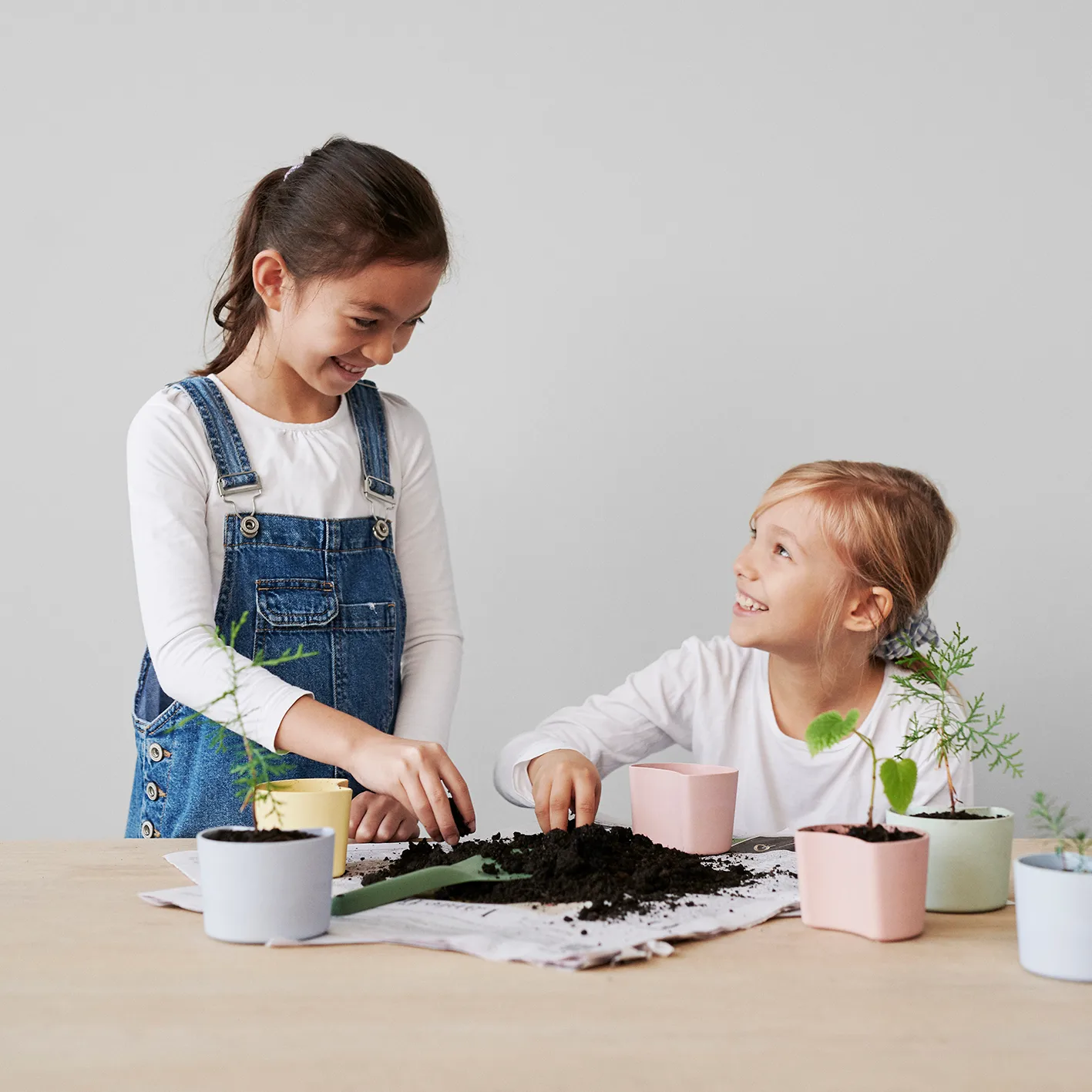 YOUR TREE pot with seeds, 粉色 (Beech) RIG-TIG