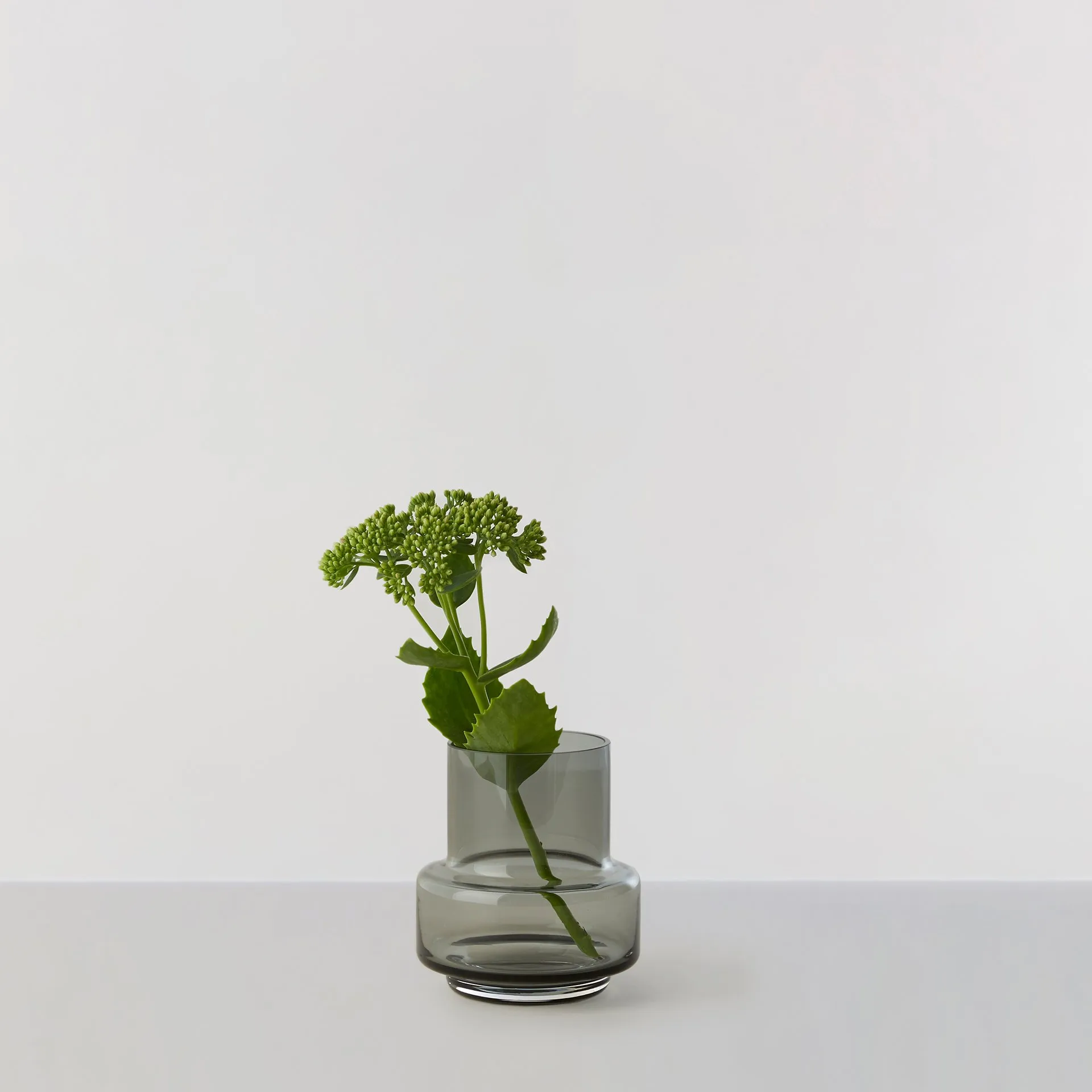 Hurricane 25号茶蜡, 烟灰色 Ro Collection