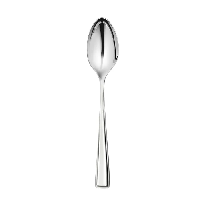 Fairford bright 分餐勺 - 不锈钢_23.4cm - Robert Welch