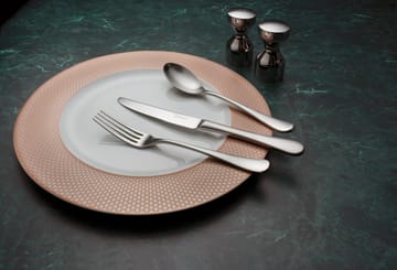 Radford Table fork matte - 不锈钢 - Robert Welch