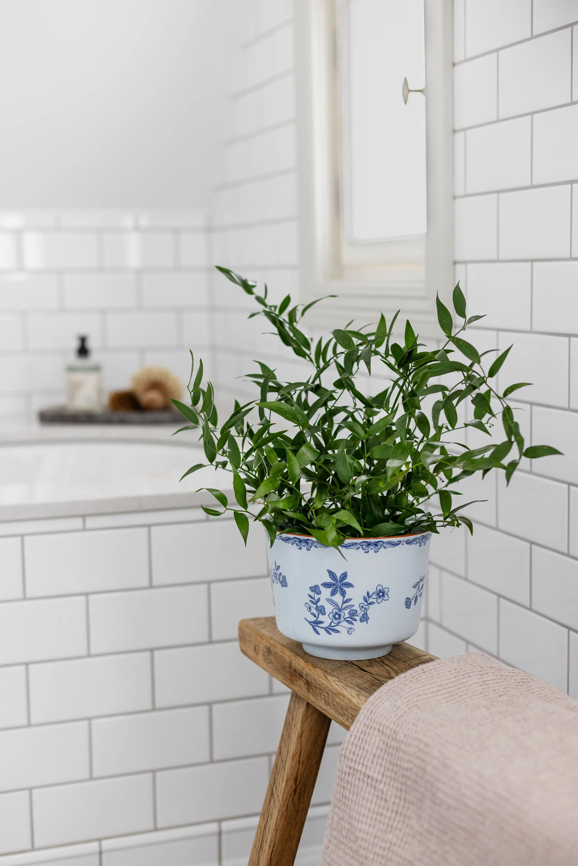 Ostindia 神秘东方 花盆, Ø17x13 cm Rörstrand