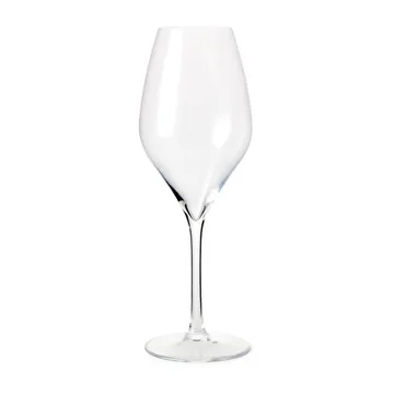 Premium 香槟杯 370ml 2件装 - 透明 - Rosendahl