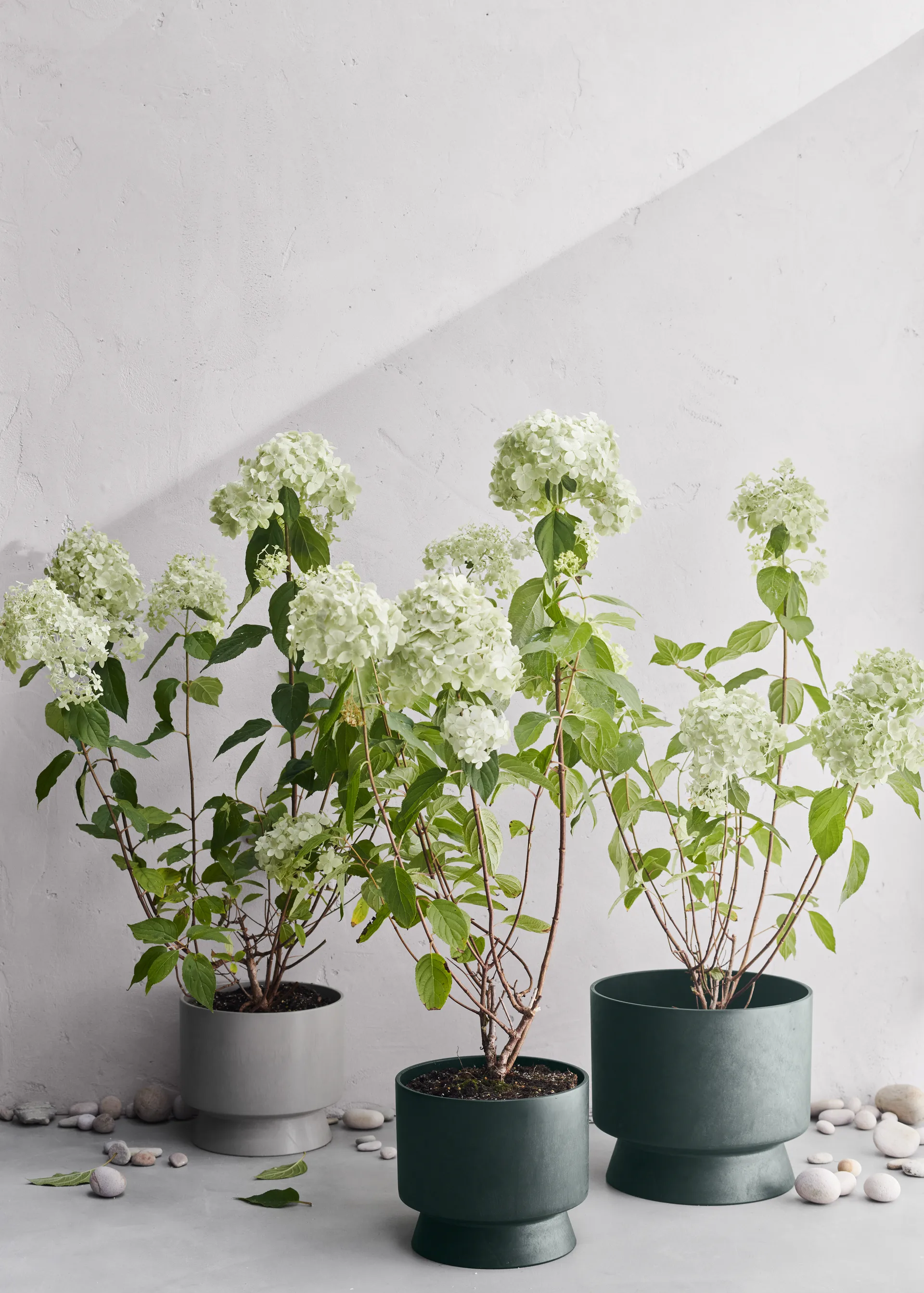 Ro flowerpot Ø30 cm, Dark 绿色 Rosendahl