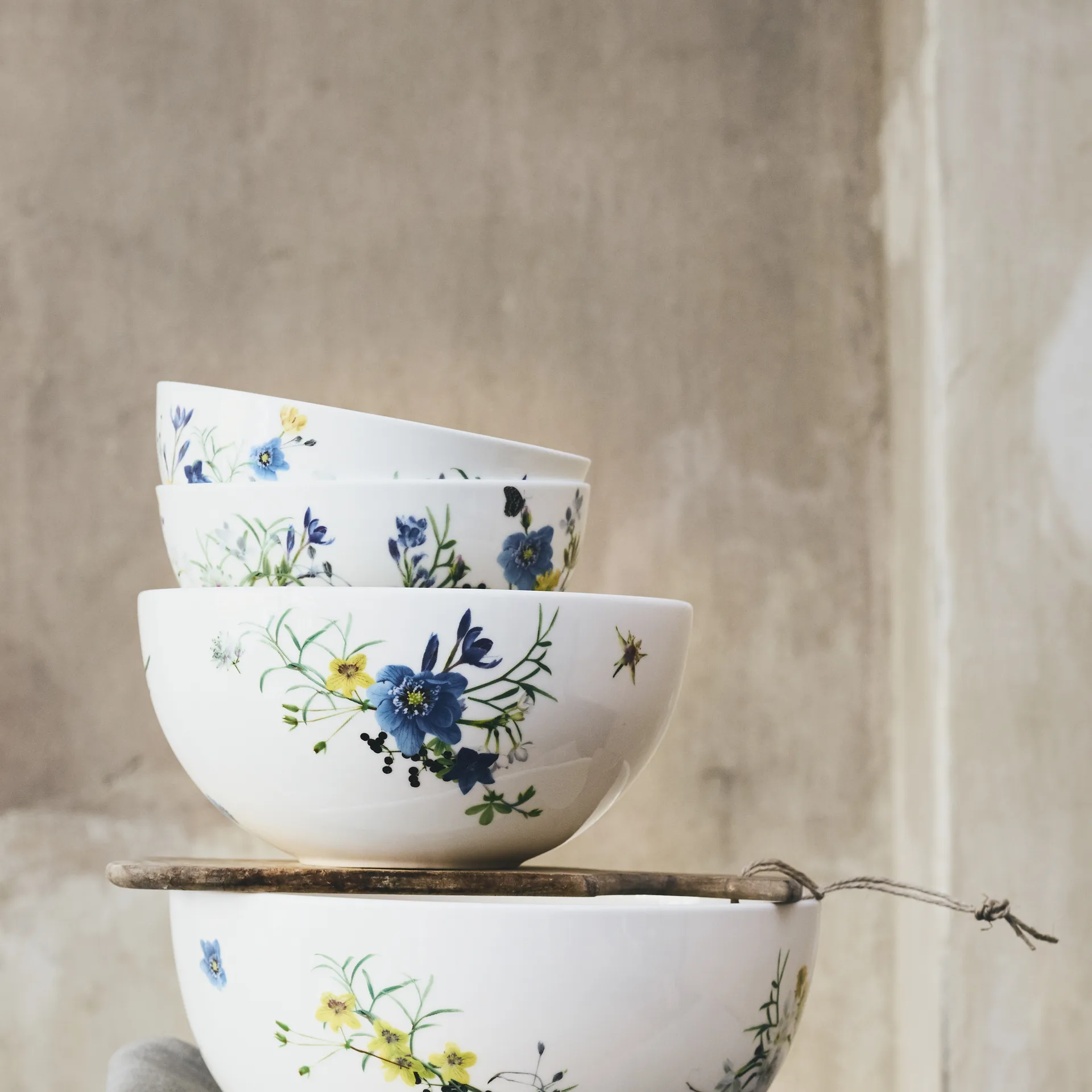 Brillance Fleurs des Alpes 碗 22cm, 多色 Rosenthal